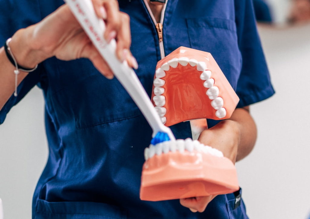 Toothbrushing technique demonstrated on a denture